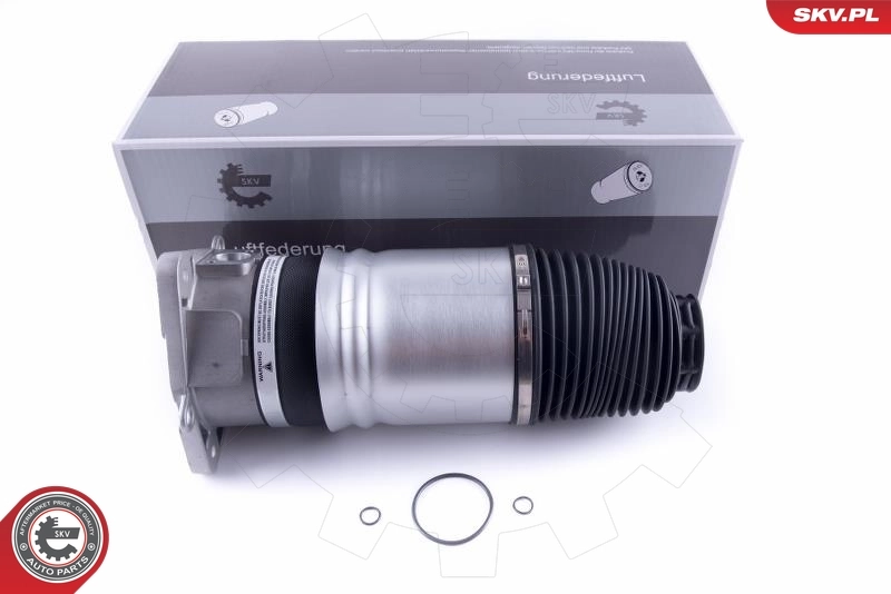 Air Spring, suspension
